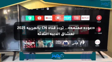 «عودة ممتعة».. تردد قناة CN بالعربية 2025 لعشاق الدببة الثلاثة
